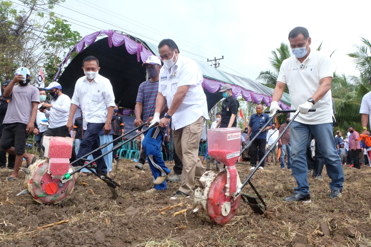 Pktv Kaltim Gelar Demplot Jagung Di Pohuwato Rahmad Pribadi Optimis