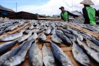 Tak Ada Tempat Khusus, Nelayan Jemur Ikan Di Kawasan Pujasera