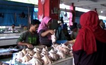 Jelang Ramadhan, Harga Ayam Merangkak Naik