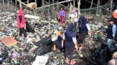 Warga Tanjung Laut Indah Bersih-bersih Sampah Pesisir