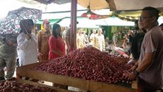 Wali Kota Sidak Harga Pasar, Pasokan Bawang Putih Langka