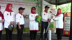 Gerakan Peduli Lingkungan, 5000 Bibit Mangrove Ditanam di Bontang