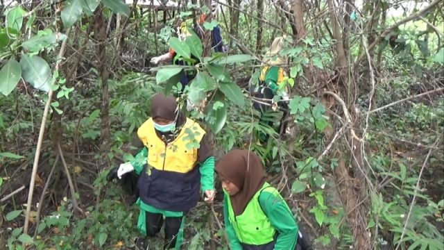 Peringati World Clean Up Day, Komunitas Peduli Sampah Bersih-Bersih Mangrove Berbas Pantai