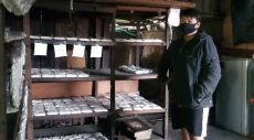 Rio Bahtiar: Kedelai Impor Mahal, Pemerintah Mesti Siapkan Kedelai Lokal