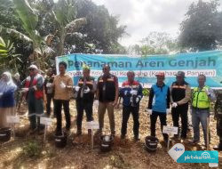 Semai Harapan di Kampung Nyerakat Kiri, PT IMM Lakukan Penanaman Bibit Pohon Aren Genjah