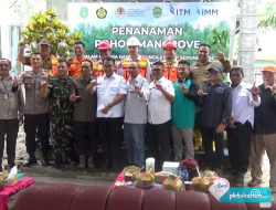 Peringati Hari Lingkungan Hidup, PT IMM Gandeng Pj Gubernur Kaltim Tanam Pohon Mangrove