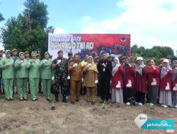 PT KNI Luncurkan Program Taman Ketapang untuk Ketahanan Pangan di Kota Bontang