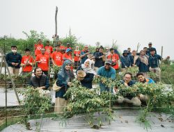Hadirkan Model Pertanian Terpadu, Pupuk Kaltim Kembangkan Cabai hingga Melon di Smart Green House