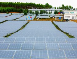 Investasi Energi Terbarukan dari Singapura Perkuat Visi IKN sebagai Smart Sustainable Forest City