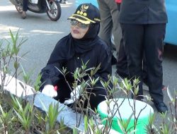 Wali Kota Bontang Pimpin Langsung Pengecatan Median Jalan di Kawasan Tugu Selamat Datang