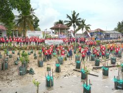 Sinergi Jaga Pesisir Bontang, Pupuk Kaltim Tanam 1.000 Bibit Mangrove di Pulau Gusung