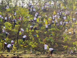Semarak HUT ke-80 Republik Indonesia, Insan IKN Tanam Pohon Wujudkan Kota Hutan Berkelanjutan