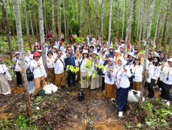 IKN Gelar Pelatihan Peningkatan Kapasitas Guru Menuju Pendidikan Bertaraf Internasional