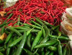 Harga Cabai di Samarinda Naik Hingga 100 Persen Menjelang Nataru