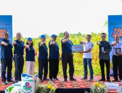 Optimalkan Produktivitas Pertanian, Agrosolution Pupuk Kaltim Dongkrak Produksi Jagung Maros 140 Persen