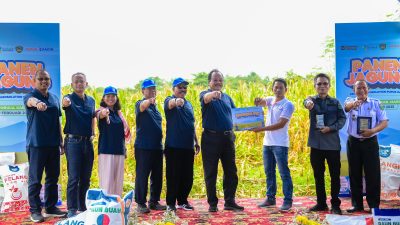 Optimalkan Produktivitas Pertanian, Agrosolution Pupuk Kaltim Dongkrak Produksi Jagung Maros 140 Persen