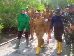 Wali Kota Tekankan Gerakan Penanaman Mangrove Harus Berkelanjutan Bukan Sekadar Seremonial