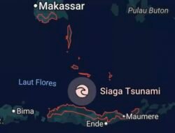 IJTI: Duka Sikka Adalah Duka Kita, Negara Diminta Bergerak Cepat Tangani Dampak Gempa