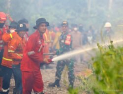 Otorita IKN Tegakkan Aturan Pengendalian Karhutla, Satu Terduga Pelaku Masuk Penyidikan dan Satu Perusahaan Dikenai Sanksi Administratif