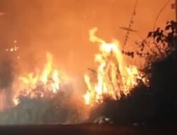 Kebakaran Lahan di Pelita Samarinda Meluas, Petugas Berjibaku Lebih dari 12 Jam
